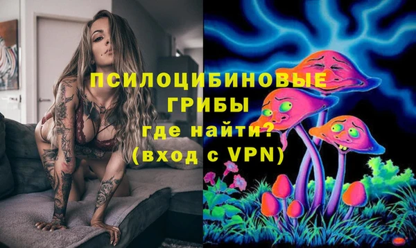 спиды Аркадак