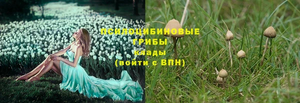 бошки Армянск