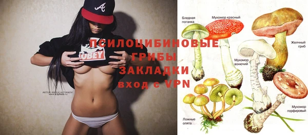 ГАЛЛЮЦИНОГЕННЫЕ ГРИБЫ Няндома