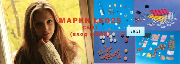 спиды Аркадак